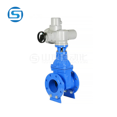 RVEX电动弹性座封闸阀